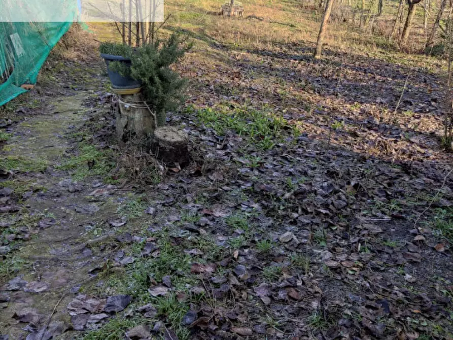 Immagine 30 di Villetta a schiera in vendita  in via San Carlo a Santa Giuletta