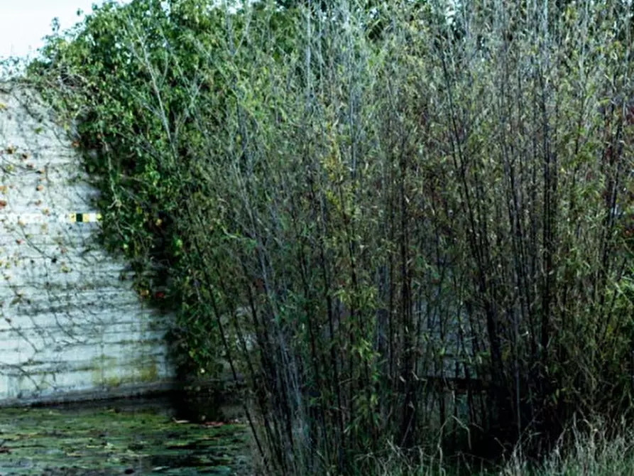 Immagine 3 di Villa in vendita  a Castelfranco Veneto