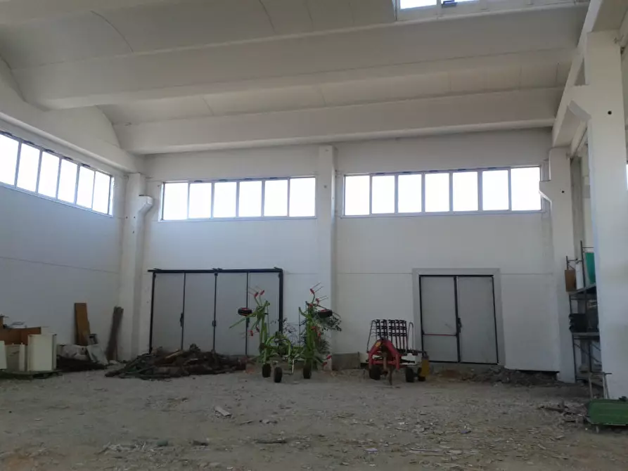 Immagine 5 di Capannone industriale in vendita  in Via del lavoro a Scandiano