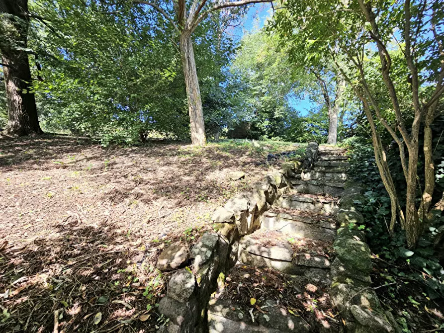 Immagine 8 di Rustico / casale in vendita  in VIA MURO a Baone