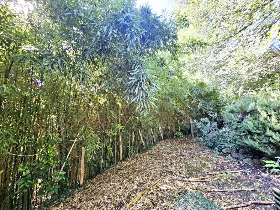 Immagine 22 di Rustico / casale in vendita  in VIA MURO a Baone