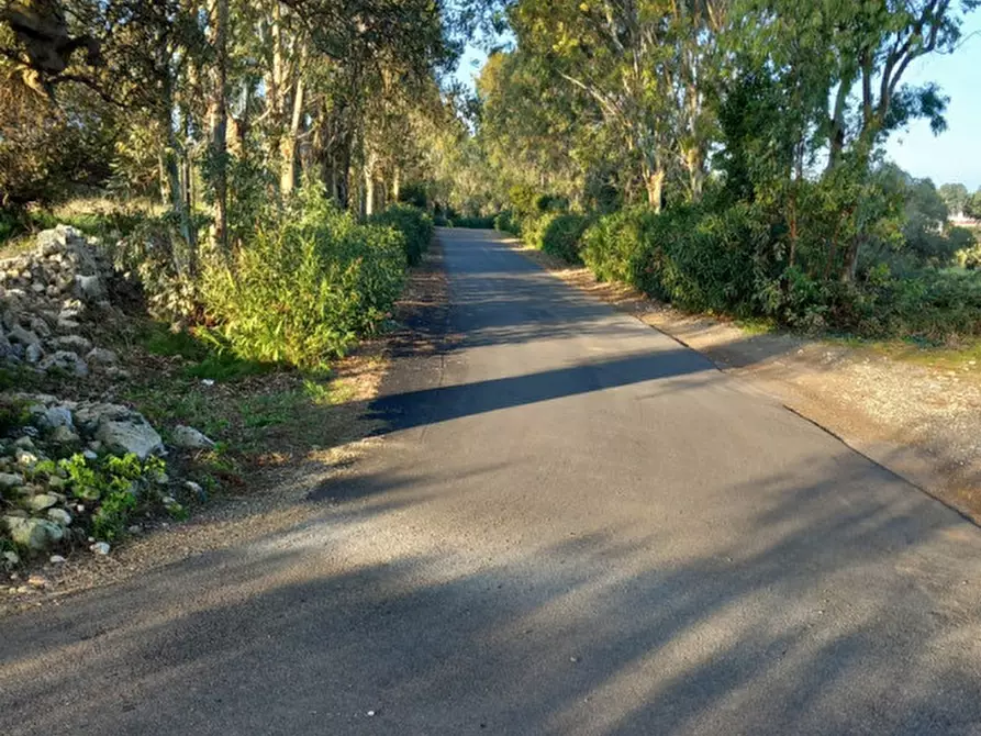 Immagine 2 di Terreno in vendita  in C.da Urselli a Ostuni