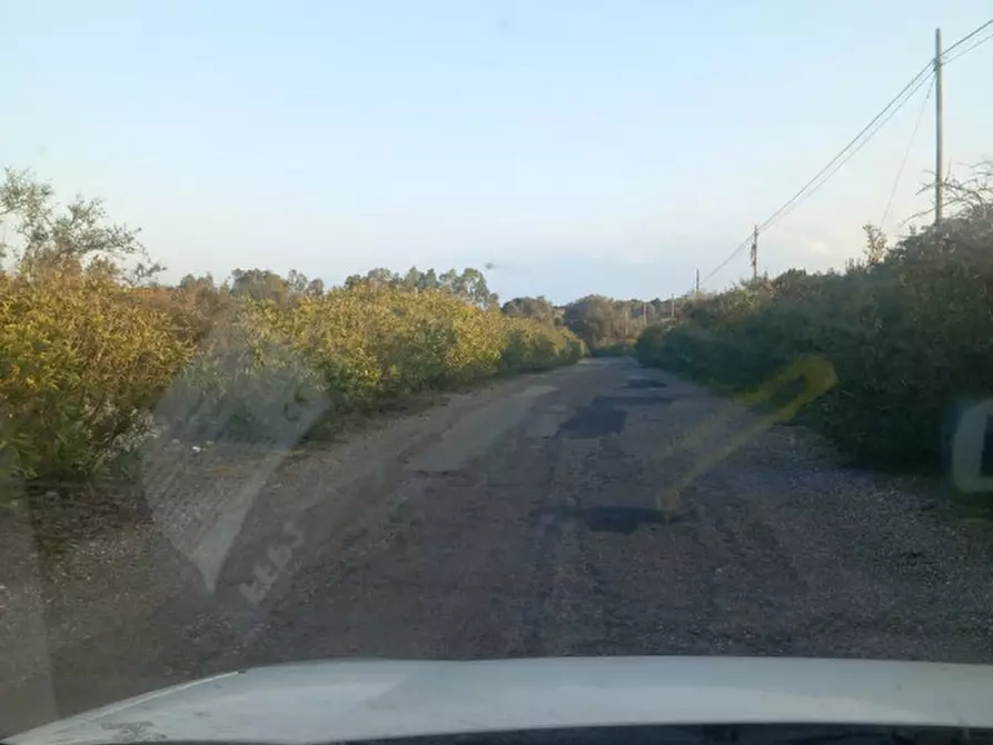 Immagine 3 di Terreno in vendita  in C.da Urselli a Ostuni