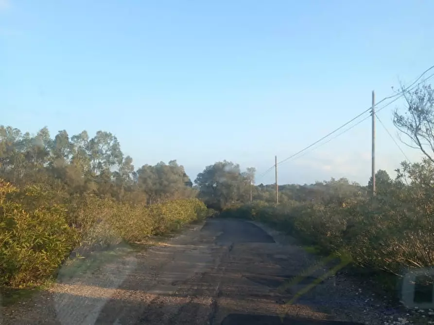 Immagine 4 di Terreno in vendita  in C.da Urselli a Ostuni
