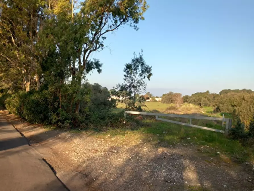 Immagine 6 di Terreno in vendita  in C.da Urselli a Ostuni