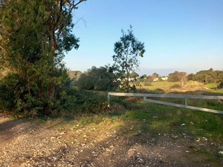Immagine 8 di Terreno in vendita  in C.da Urselli a Ostuni