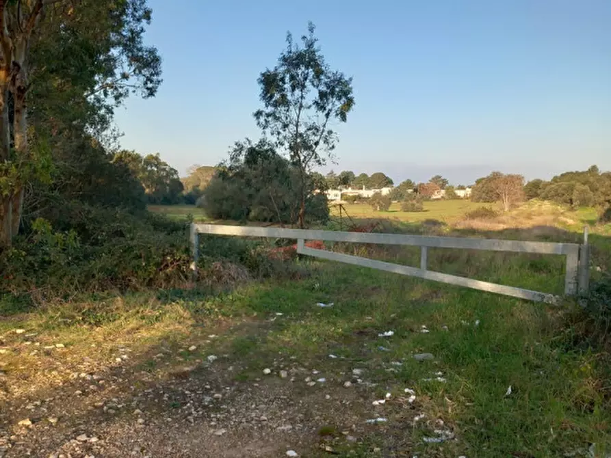 Immagine 9 di Terreno in vendita  in C.da Urselli a Ostuni