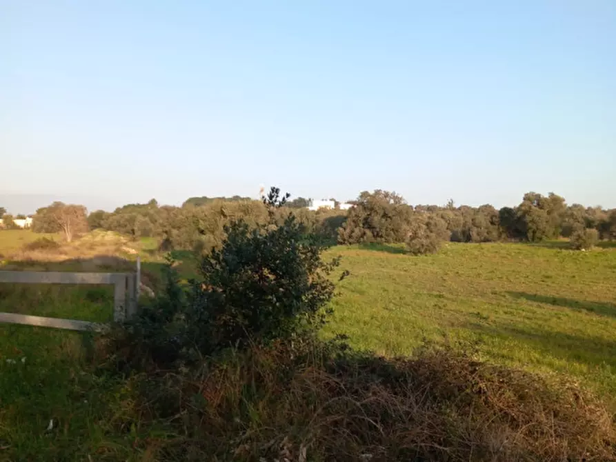 Immagine 10 di Terreno in vendita  in C.da Urselli a Ostuni