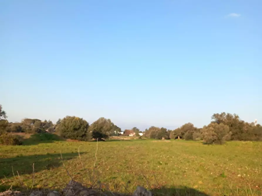 Immagine 12 di Terreno in vendita  in C.da Urselli a Ostuni