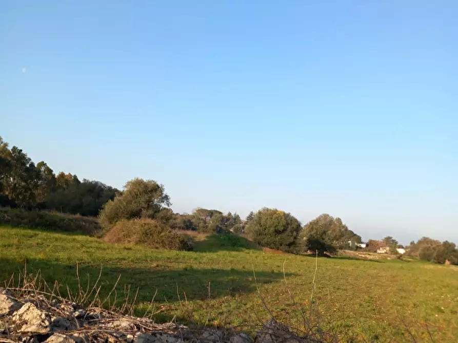 Immagine 13 di Terreno in vendita  in C.da Urselli a Ostuni