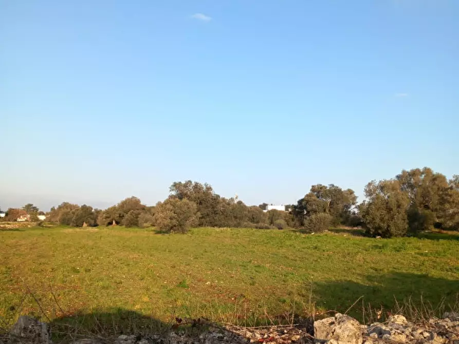 Immagine 14 di Terreno in vendita  in C.da Urselli a Ostuni