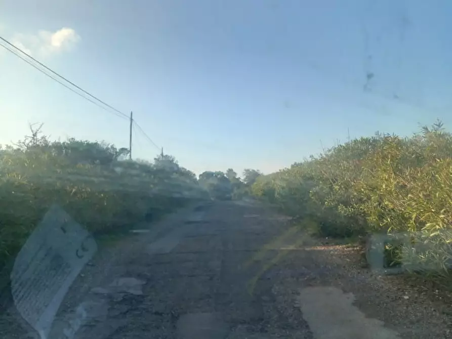 Immagine 15 di Terreno in vendita  in C.da Urselli a Ostuni
