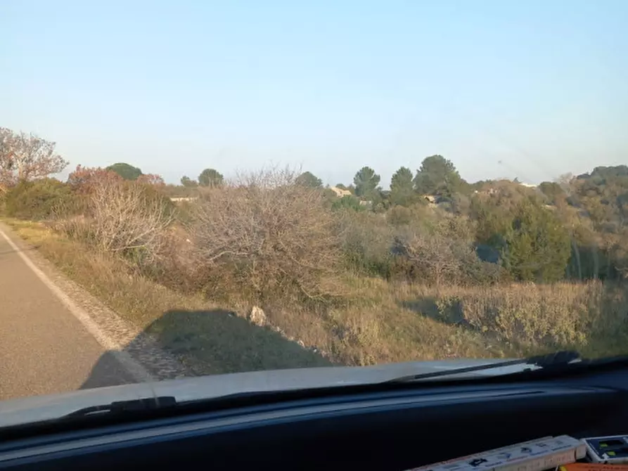 Immagine 16 di Terreno in vendita  in C.da Urselli a Ostuni