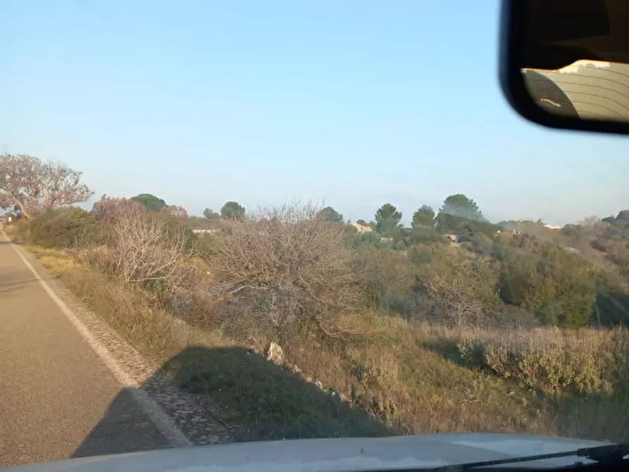 Immagine 17 di Terreno in vendita  in C.da Urselli a Ostuni