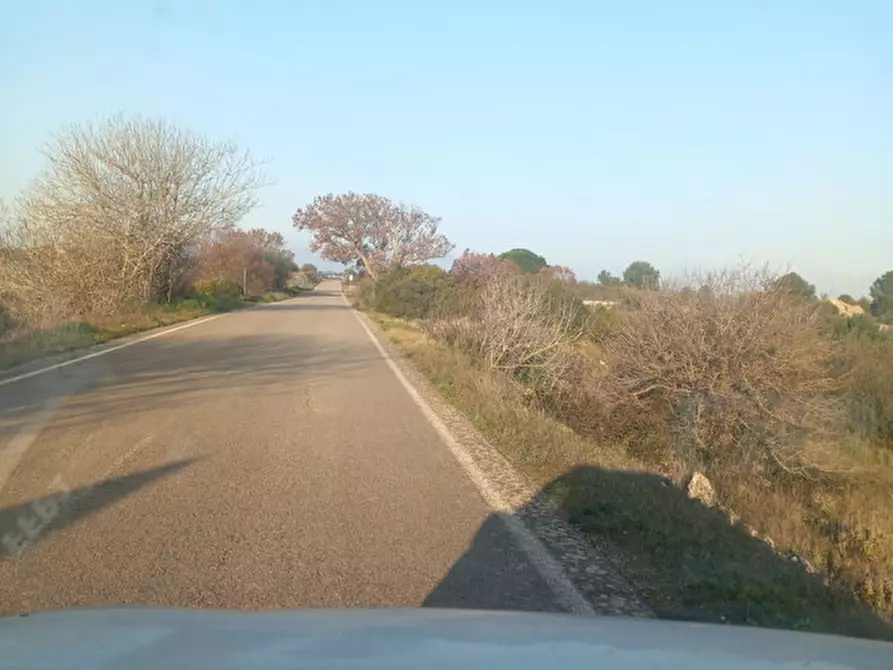 Immagine 18 di Terreno in vendita  in C.da Urselli a Ostuni