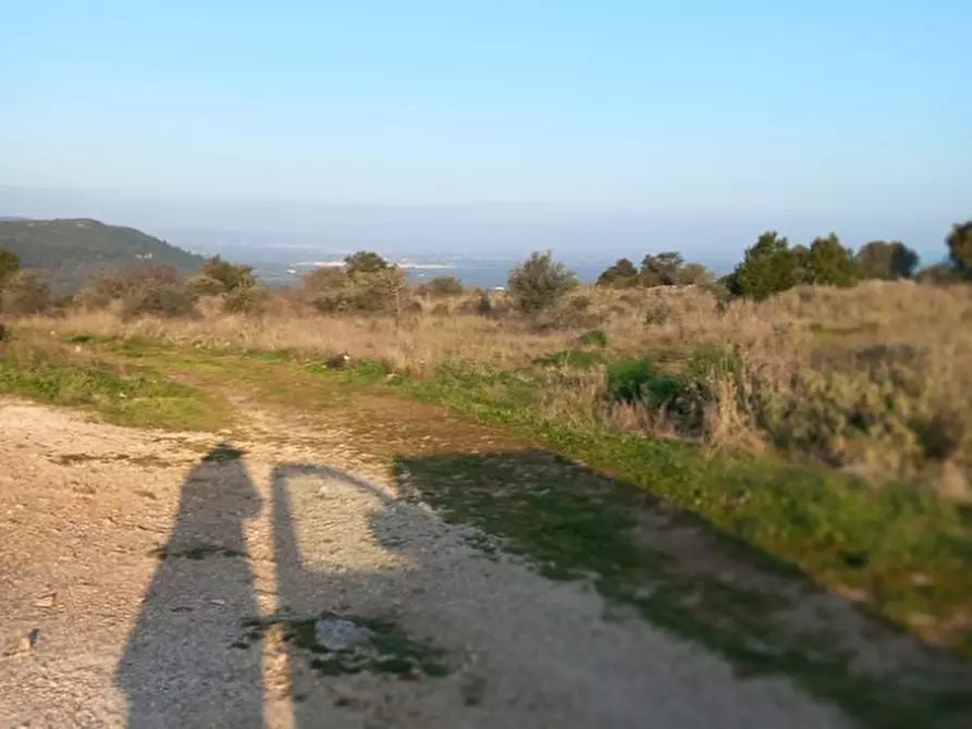 Immagine 19 di Terreno in vendita  in C.da Urselli a Ostuni