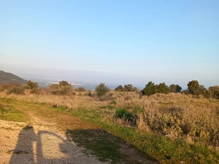 Immagine 20 di Terreno in vendita  in C.da Urselli a Ostuni