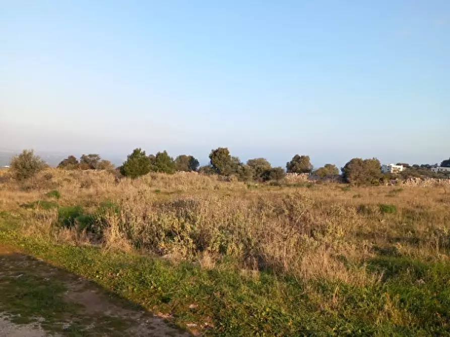 Immagine 21 di Terreno in vendita  in C.da Urselli a Ostuni