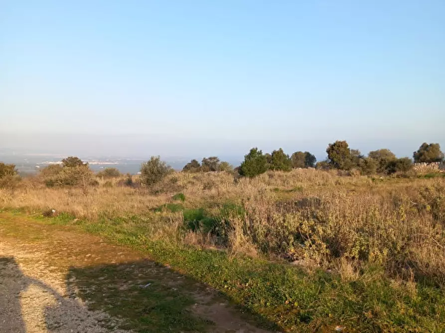 Immagine 22 di Terreno in vendita  in C.da Urselli a Ostuni