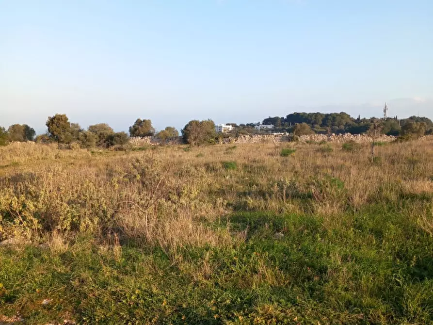 Immagine 23 di Terreno in vendita  in C.da Urselli a Ostuni