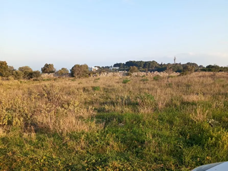 Immagine 24 di Terreno in vendita  in C.da Urselli a Ostuni