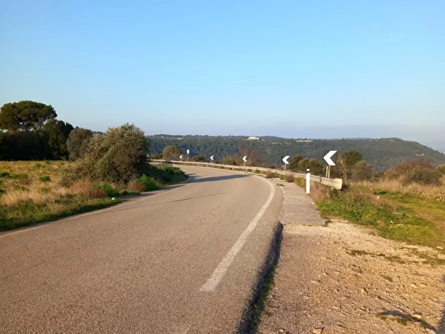 Immagine 26 di Terreno in vendita  in C.da Urselli a Ostuni
