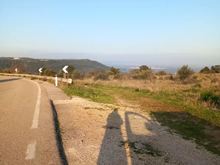 Immagine 27 di Terreno in vendita  in C.da Urselli a Ostuni