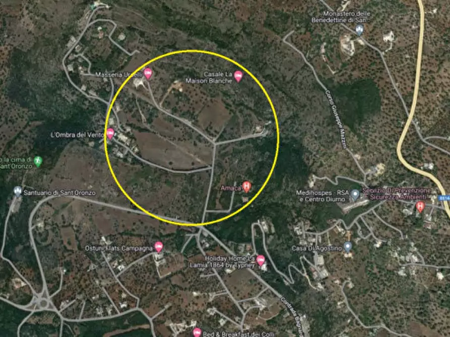 Immagine 29 di Terreno in vendita  in C.da Urselli a Ostuni