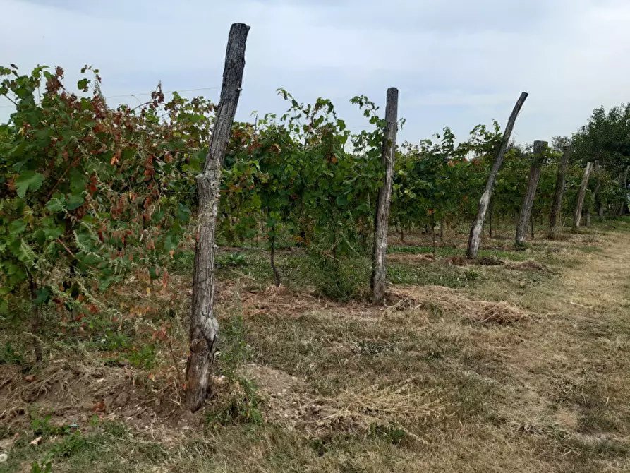 Immagine 1 di Terreno in vendita  in Via Menegoni a Fonte