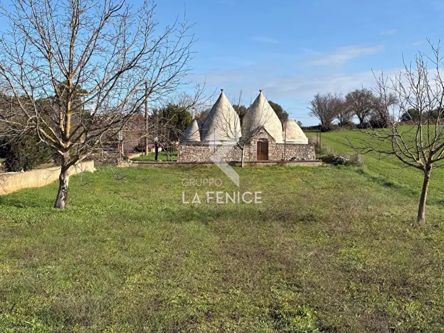 Immagine 4 di Villa in vendita  in strada comunale n.140 - primiceri- Vardello a Martina Franca