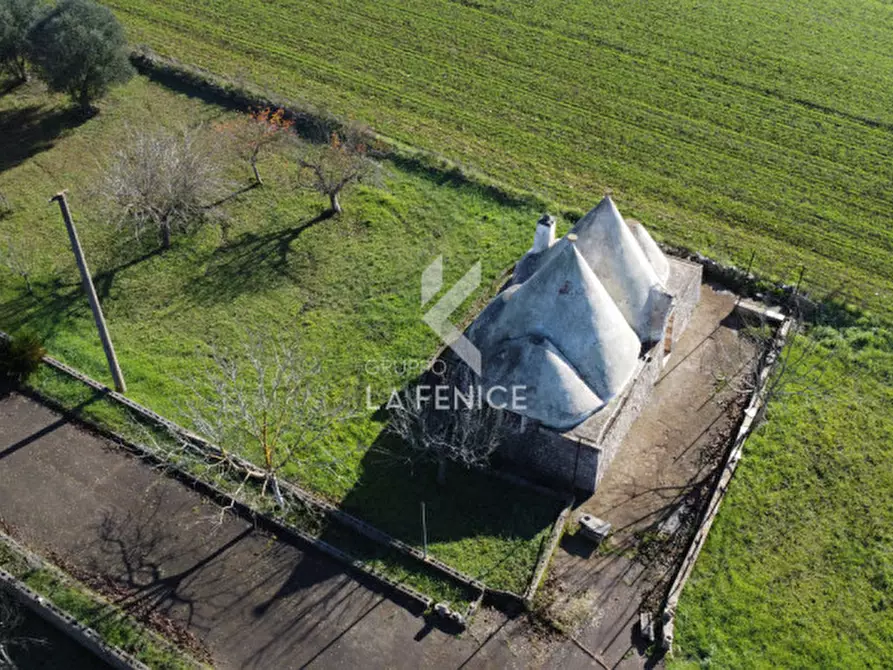 Immagine 7 di Villa in vendita  in strada comunale n.140 - primiceri- Vardello a Martina Franca