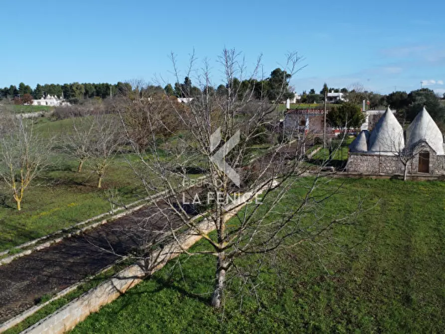 Immagine 14 di Villa in vendita  in strada comunale n.140 - primiceri- Vardello a Martina Franca