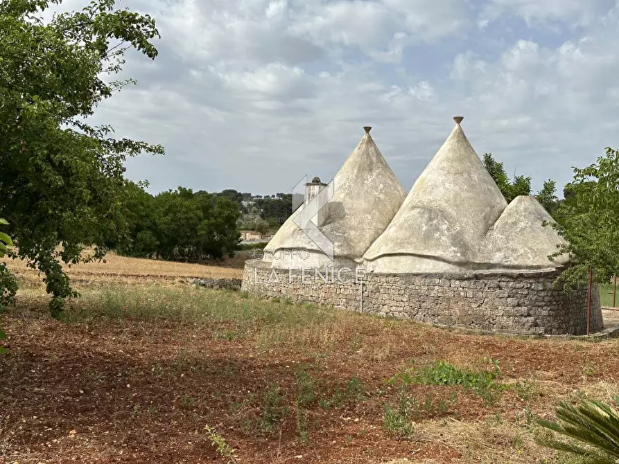 Immagine 25 di Rustico / casale in vendita  in contrada guardariello a Ostuni