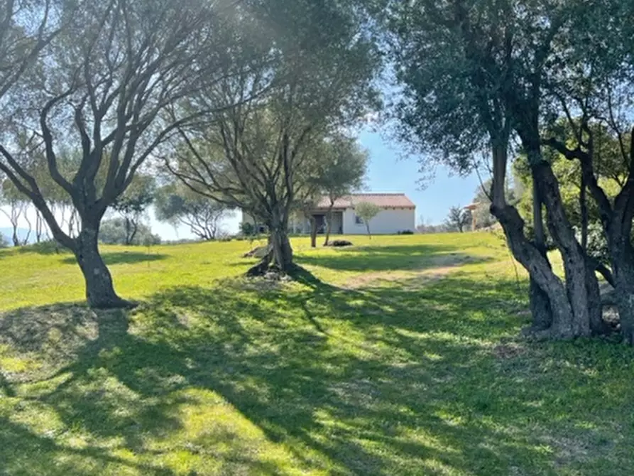 Immagine 4 di Villa in vendita  a Olbia