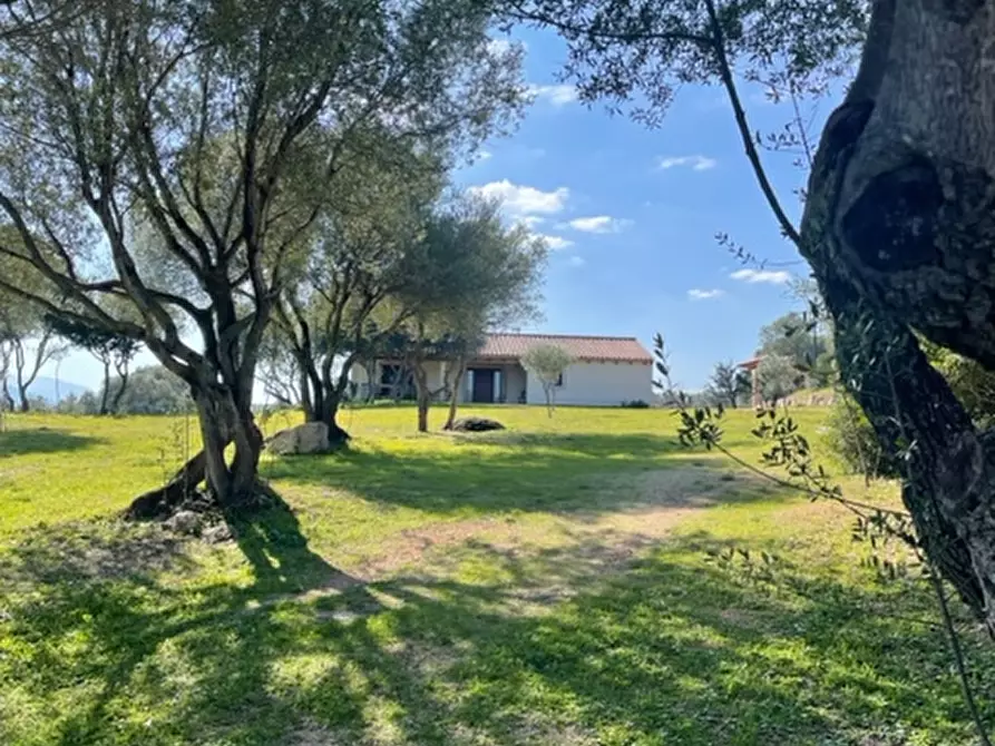 Immagine 7 di Villa in vendita  a Olbia