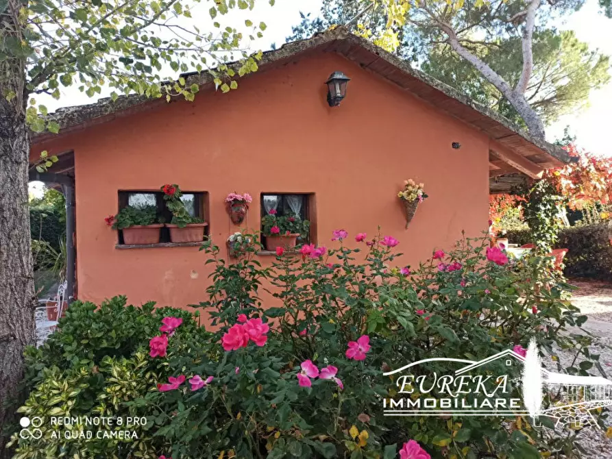 Immagine 12 di Casa indipendente in vendita  in Via Roma, Castiglione del lago a Castiglione Del Lago