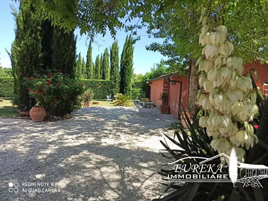 Immagine 15 di Casa indipendente in vendita  in Via Roma, Castiglione del lago a Castiglione Del Lago