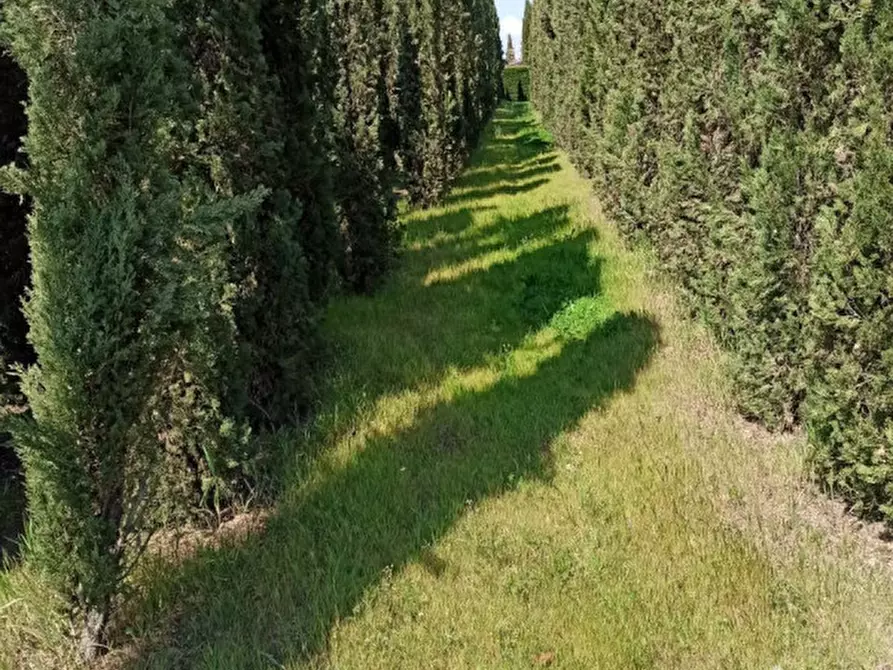 Immagine 20 di Casa indipendente in vendita  in Via Roma, Castiglione del lago a Castiglione Del Lago