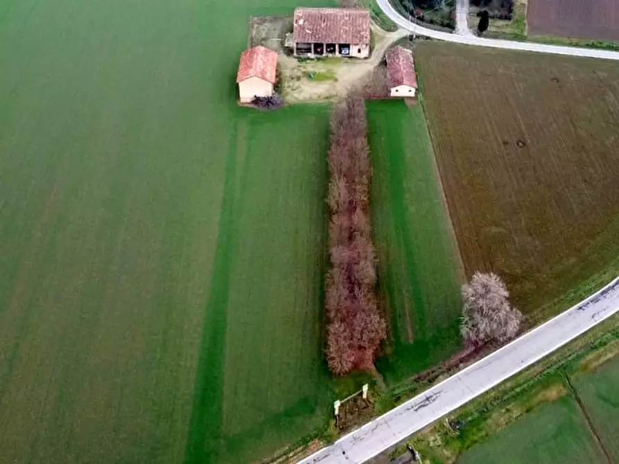 Immagine 2 di Rustico / casale in vendita  a Cortemaggiore