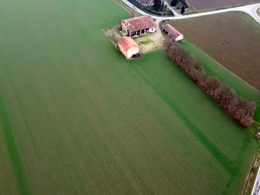 Immagine 3 di Rustico / casale in vendita  a Cortemaggiore