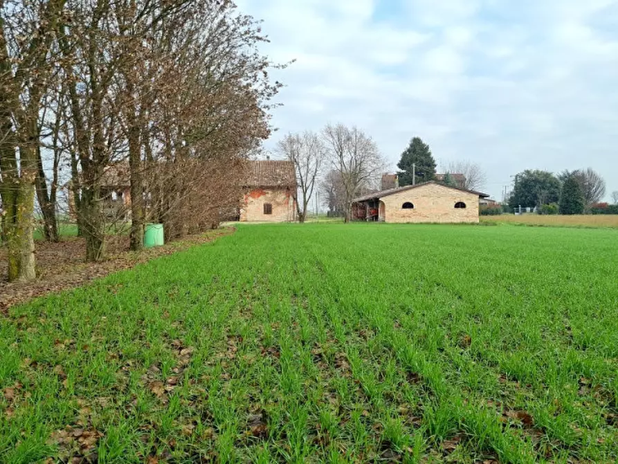 Immagine 4 di Rustico / casale in vendita  a Cortemaggiore