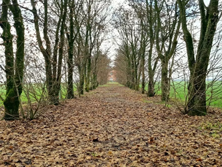 Immagine 6 di Rustico / casale in vendita  a Cortemaggiore
