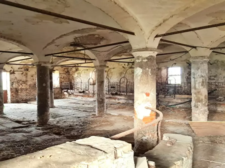 Immagine 11 di Rustico / casale in vendita  a Cortemaggiore