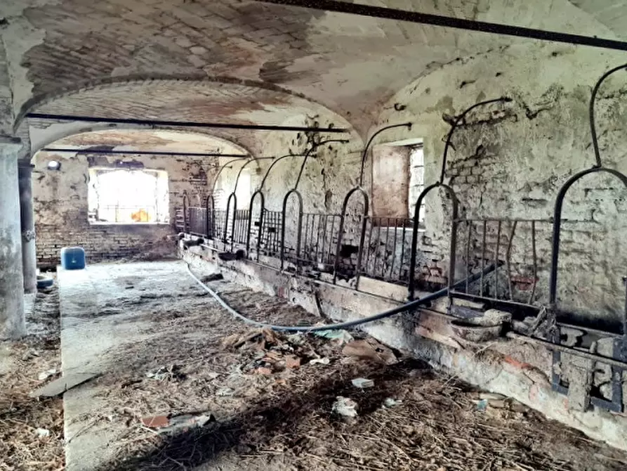 Immagine 13 di Rustico / casale in vendita  a Cortemaggiore