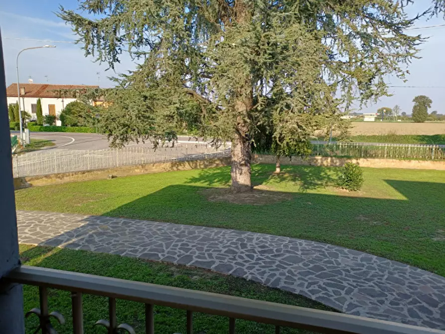 Immagine 4 di Casa indipendente in vendita  a Ceneselli