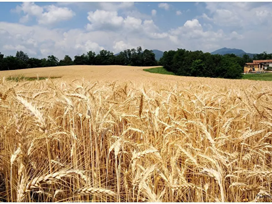 Immagine 2 di Terreno in vendita  in via roma a Limena