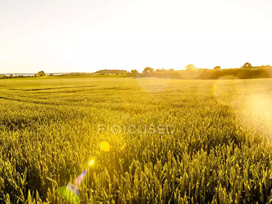 Immagine 3 di Terreno in vendita  in via roma a Limena