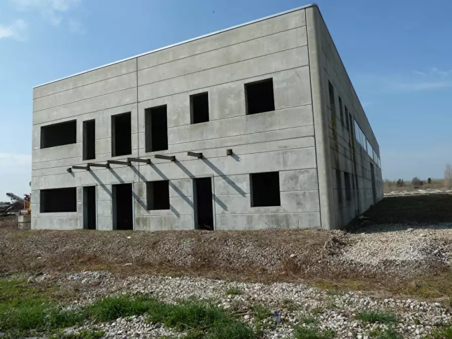Immagine 3 di Capannone industriale in affitto  in zona PORTOGRUARO VE a Portogruaro