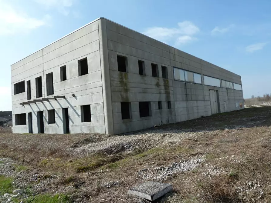 Immagine 4 di Capannone industriale in affitto  in zona PORTOGRUARO VE a Portogruaro