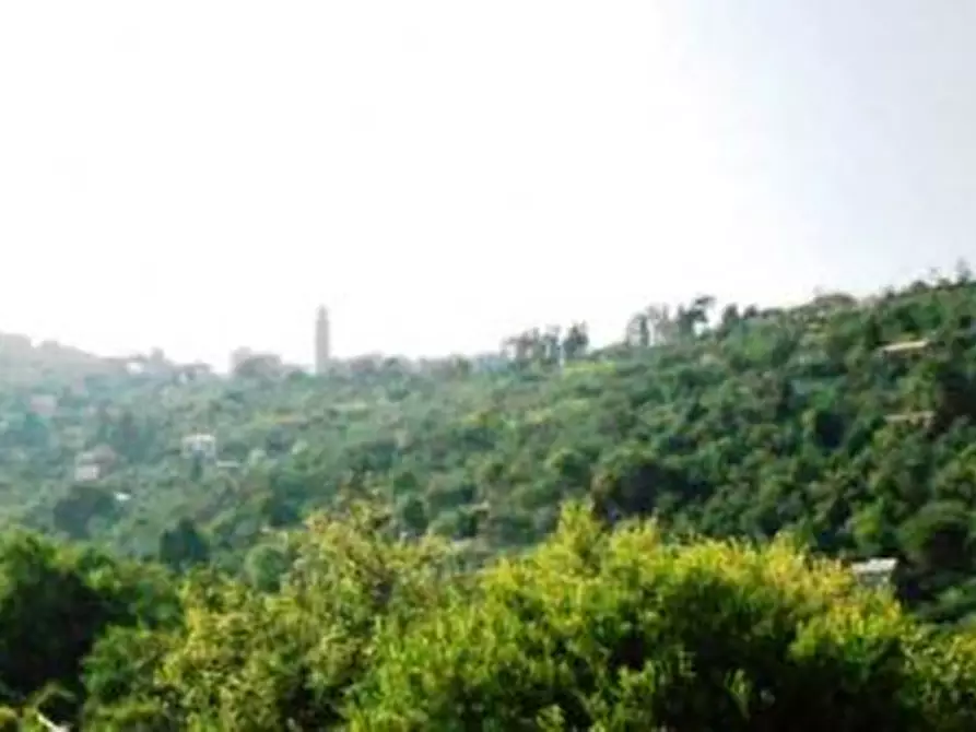 Immagine 3 di Appartamento in vendita  in Via Mortero a Santa Margherita Ligure